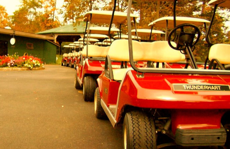 Golf carts at Thunderhart Golf Course.
