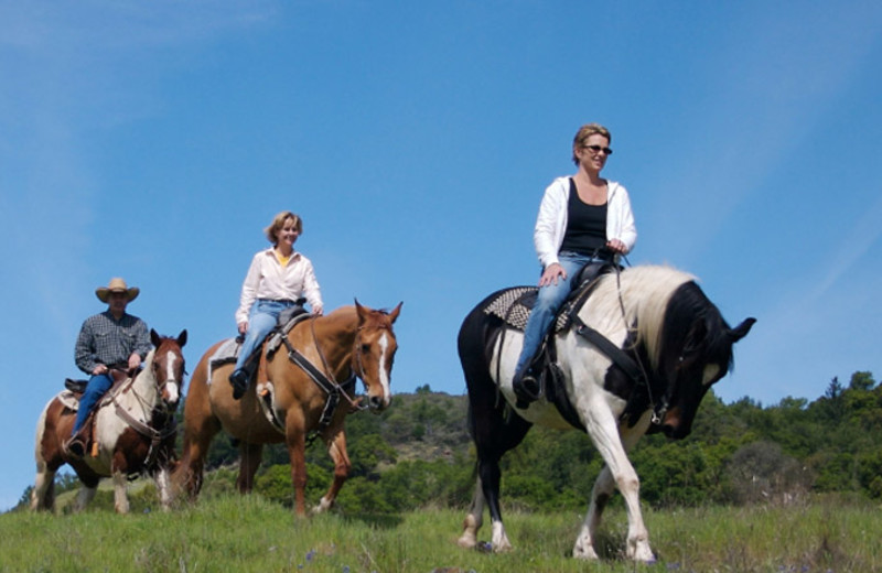 Horseback riding at Aspen Winds.