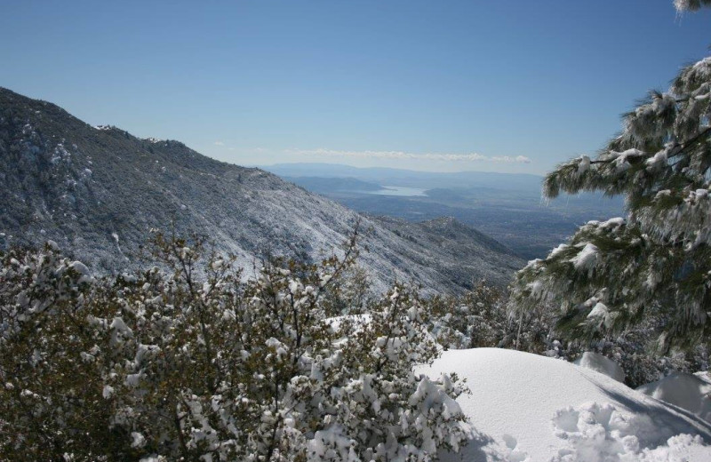 Scenic view at Idyllwild Vacation Cabins.