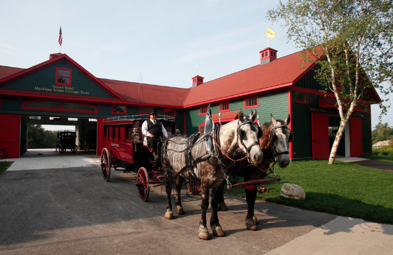 Horse carriage transportation at Grand Hotel.