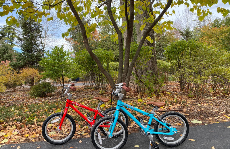 Biking at Gordon Lodge.