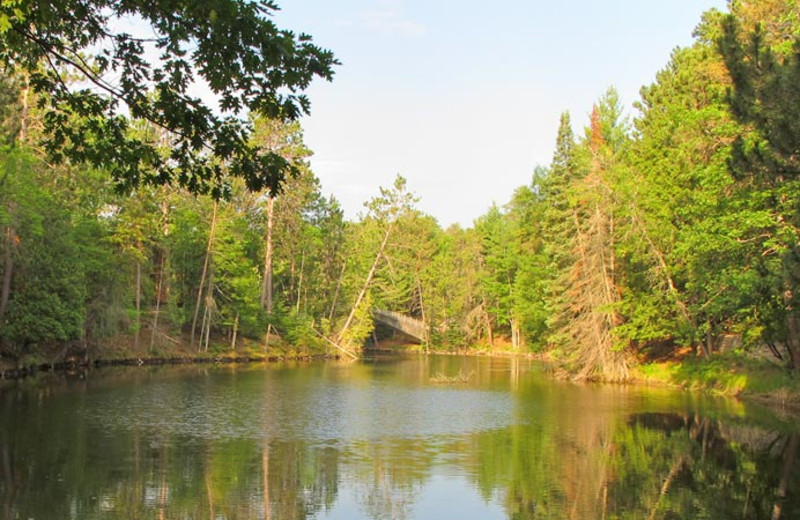 Lake view at UAW Black Lake.