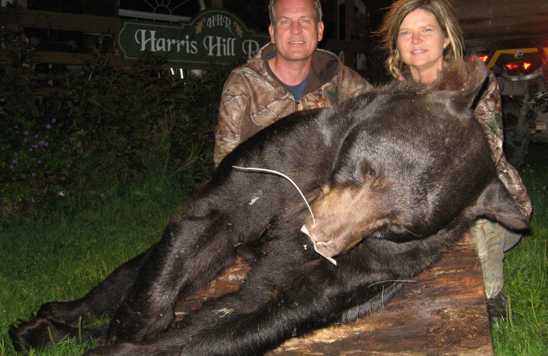 Black bear hunting at Harris Hill Resort- Lake Of The Woods.