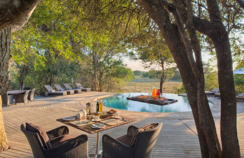 Outdoor pool at Phinda Private Game Reserve.

