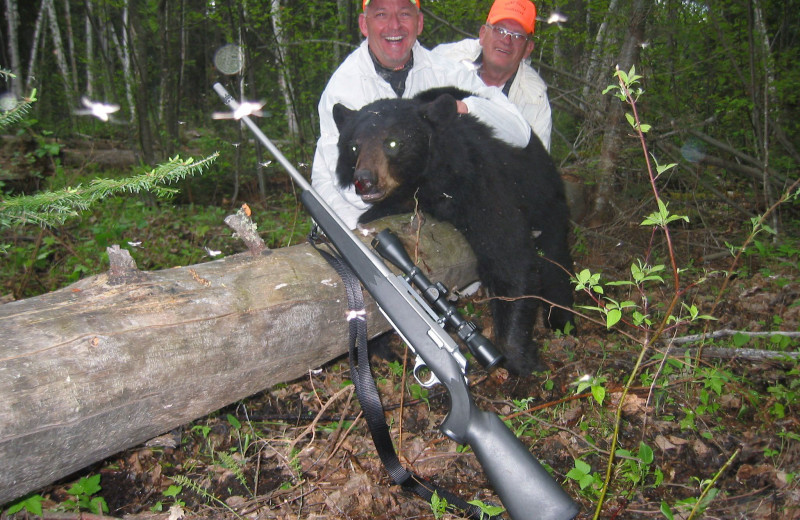 Bear hunting at Dahl Creek Outfitters.