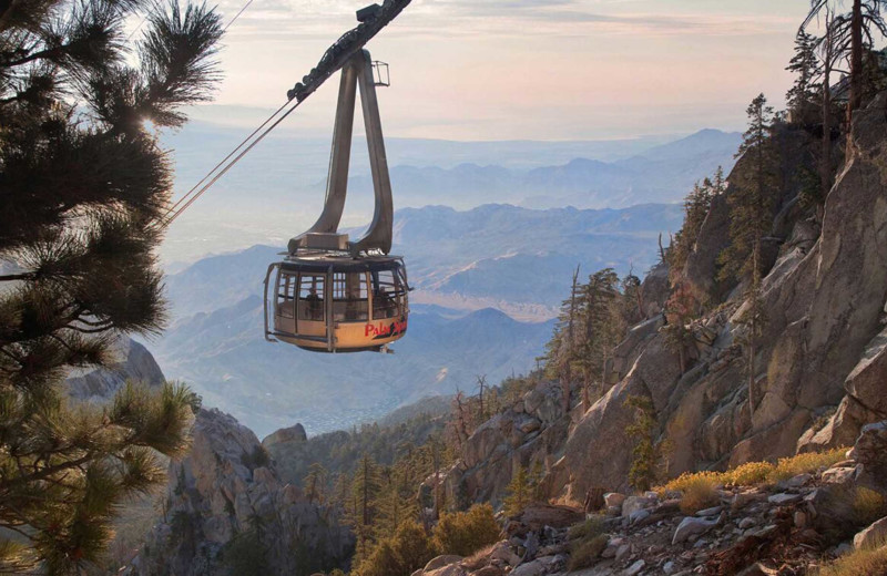 Gondola near Country Club and Resort Rentals.