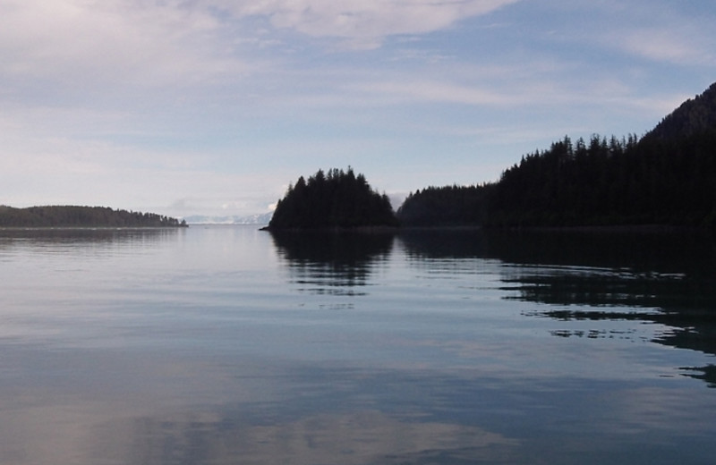 Scenic view at Glacier Bear Lodge.