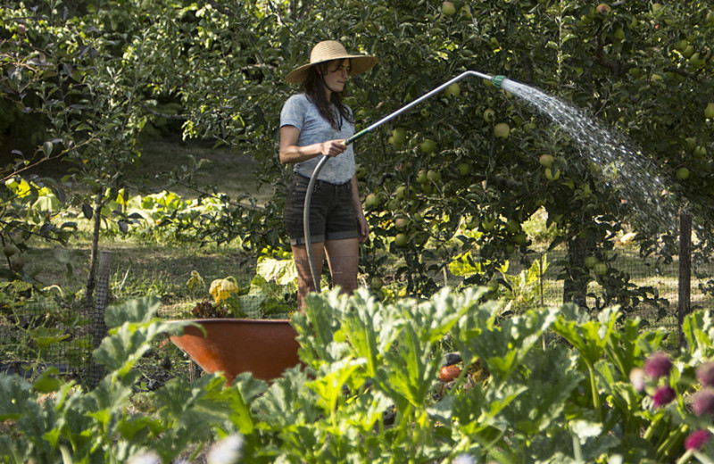 Garden at Pebble Cove Farm.