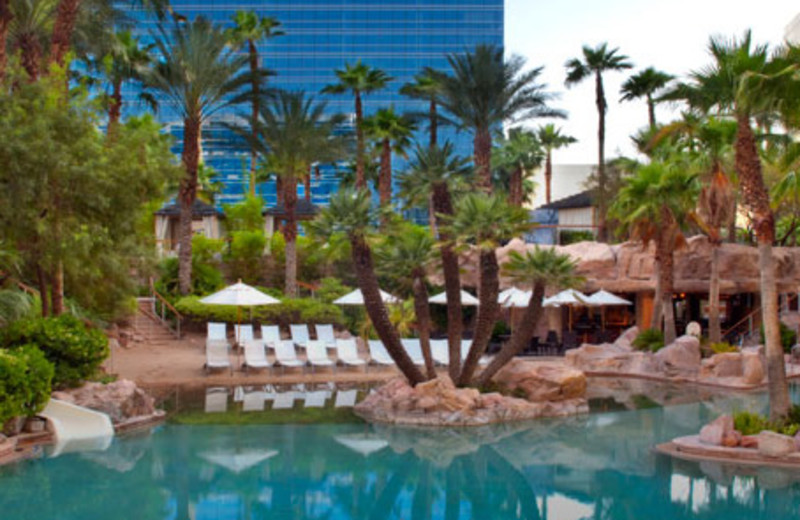 Hot Tub Area at Hard Rock Hotel