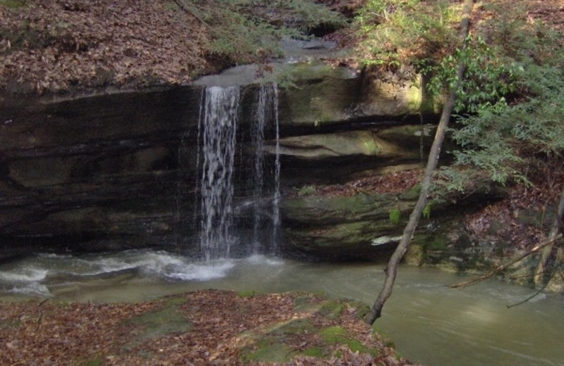 Peaceful Creek at Glenlaurel Inn.