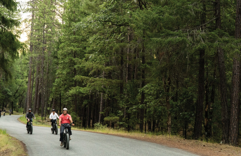 Biking at Scott River Lodge.