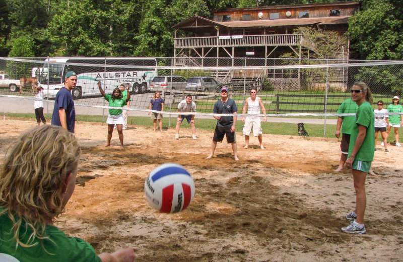 Volleyball at Forrest Hills Resort.