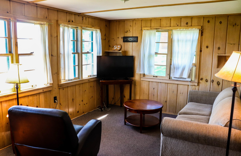 Cabin living room at Wilderness Resort Villas.