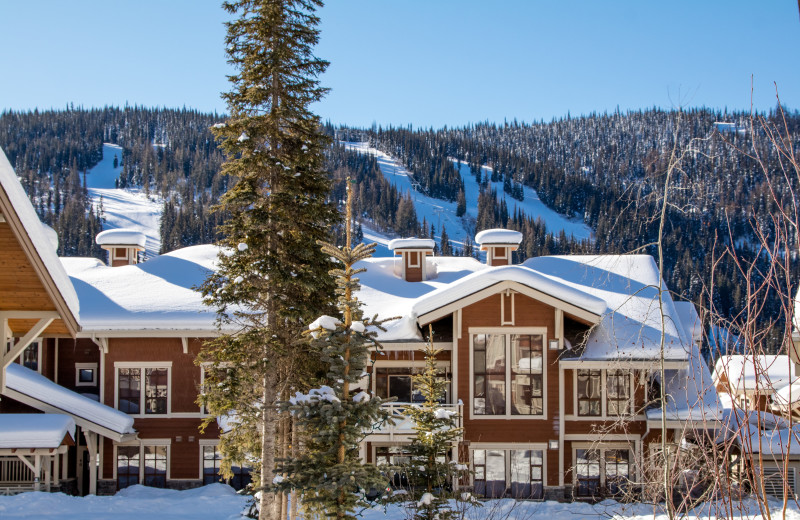 Exterior view of Bear Country Property Management (2018) Ltd.