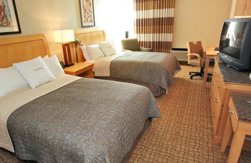 Guest Room at Doubletree by Hilton