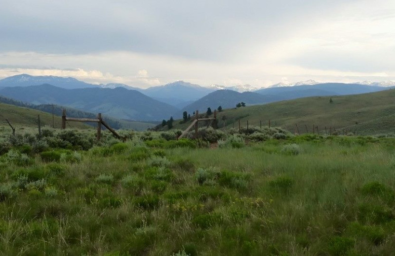 View from Tomahawk Guest Ranch.