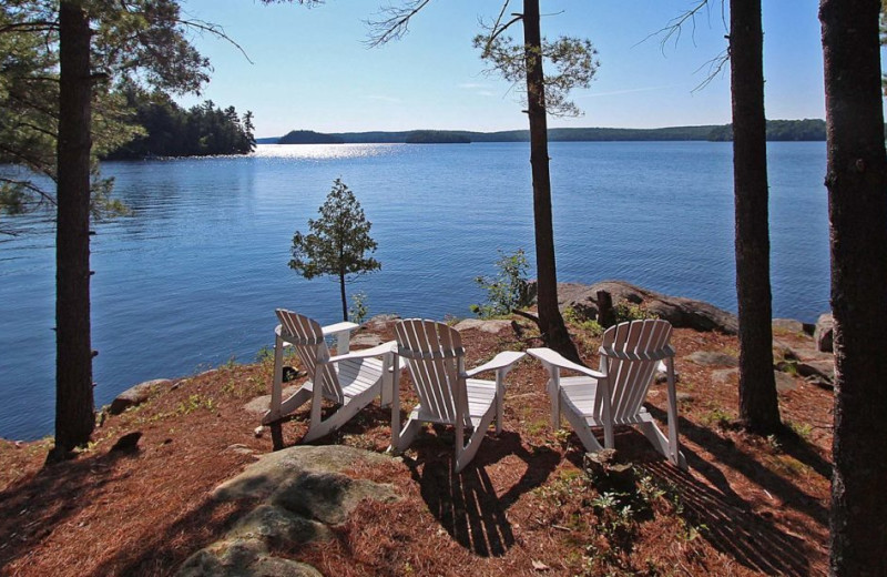 Lake view at Port Cunnington Lodge & Resort.