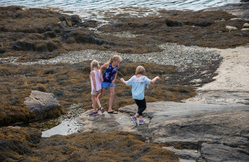 Beach at Linekin Bay Resort.