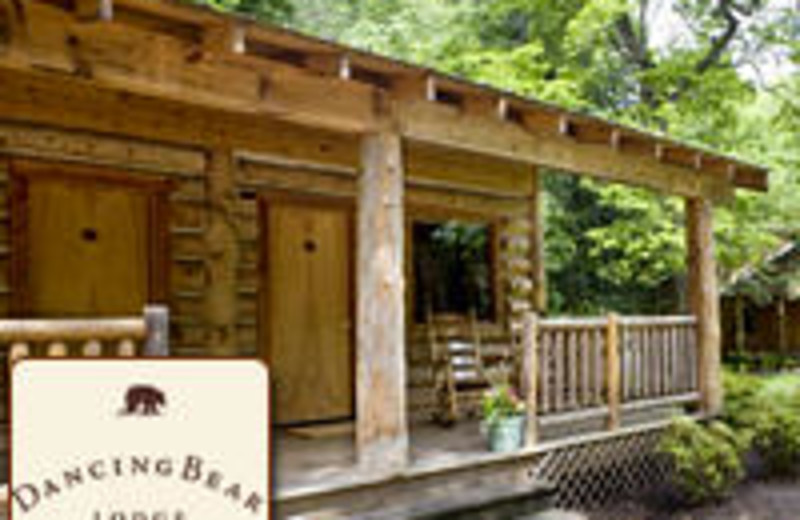 Dancing Bear Lodge (Townsend, TN) - Resort Reviews - ResortsandLodges.com