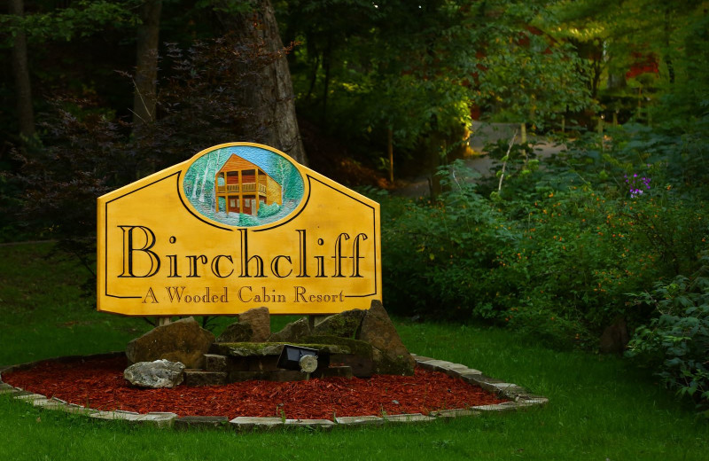 Welcome to Birchcliff Resort.