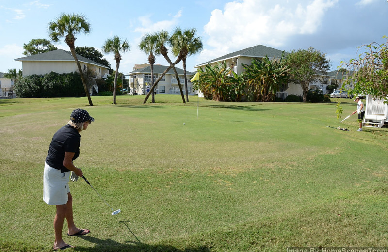 Golf course at Sandpiper Cove.