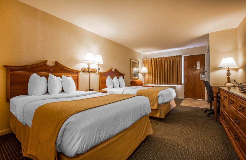 Guest room at Gran-View On The River.