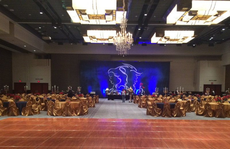 Meetings at Moody Gardens Hotel.