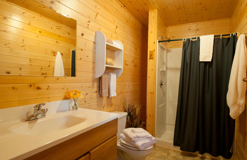 Cabin bathroom at Tetu Island Lodge.