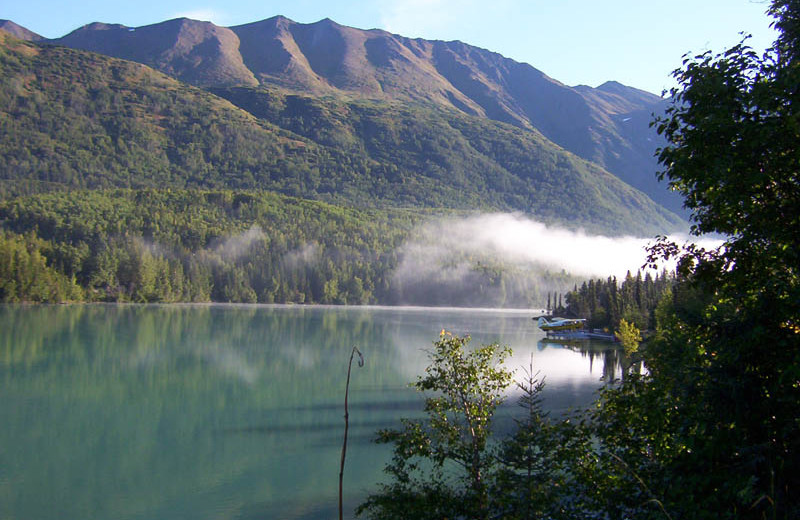 Scenic view at Kenai River Drifters Lodge.