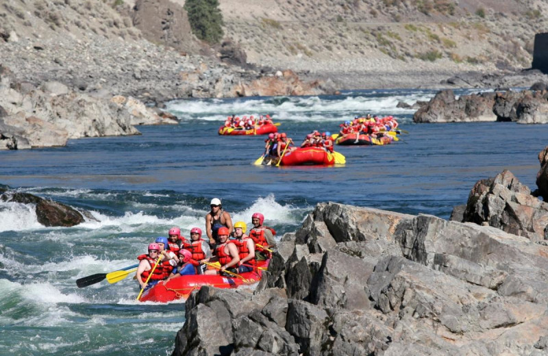 Rafting at REO Rafting Resort.