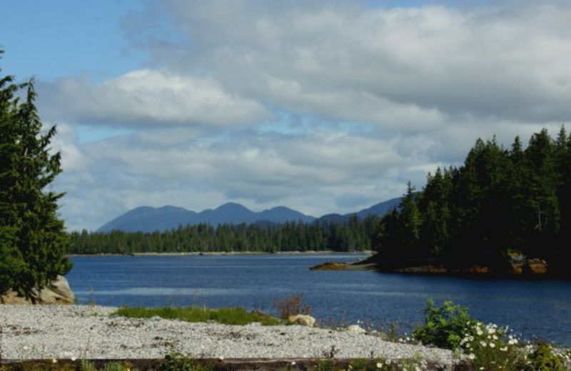 Scenic view from Shearwater Resort & Marina.