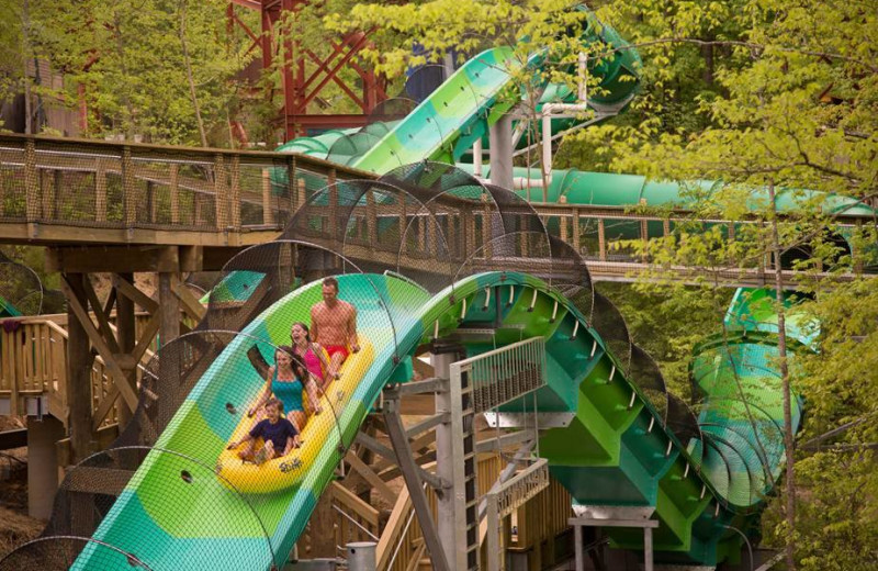 Dollywood's Splash Country near The Cabin Rental Store.