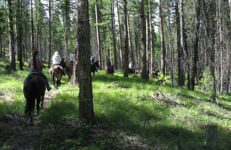 Trail riding at RiverStone Family Lodge.