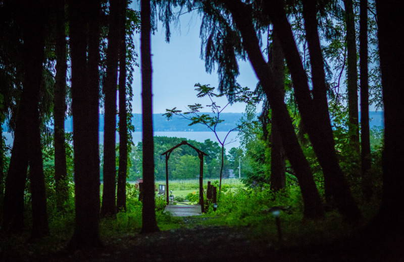 Garden at Buttonwood Grove Winery