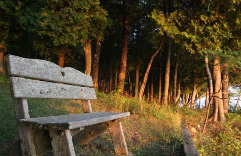 The grounds at the Country House Resort.