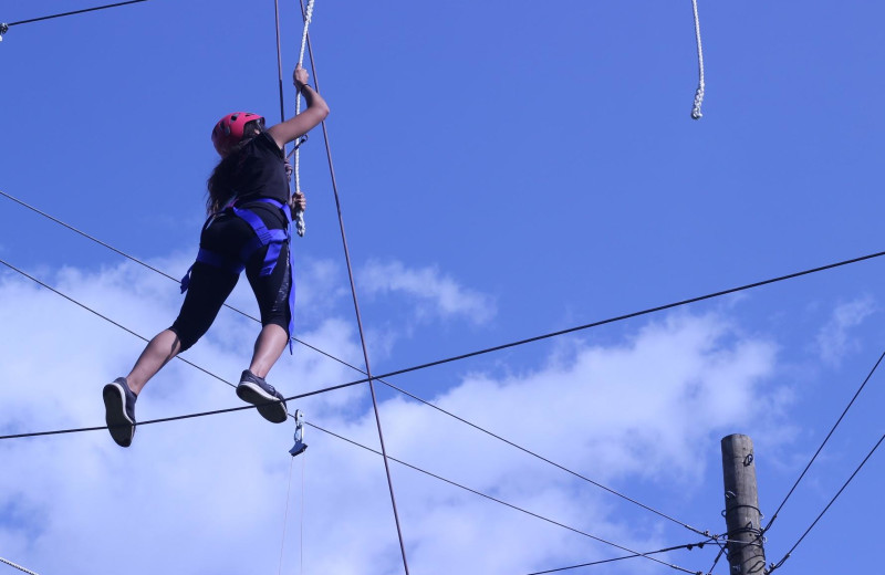 High Ropes Course at Honor's Haven Retreat & Conference