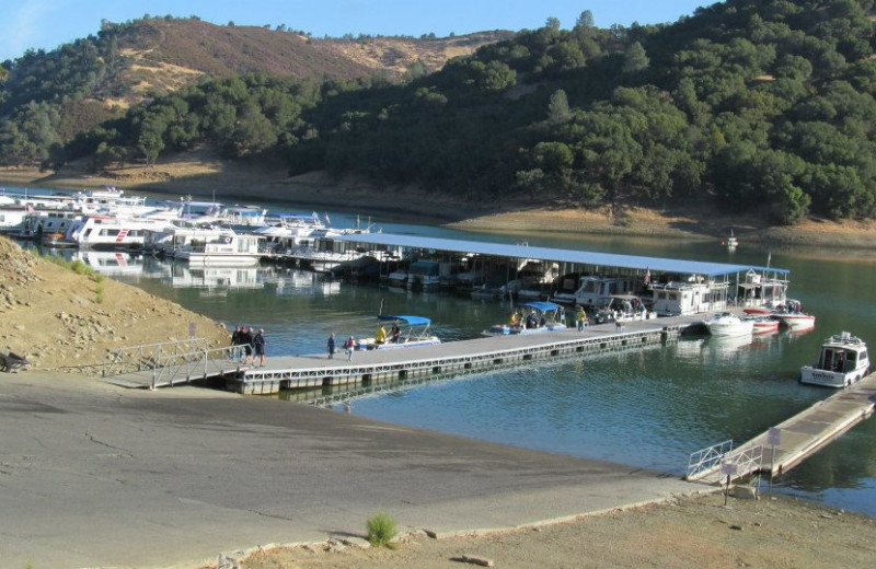 The marina at Pleasure Cove.