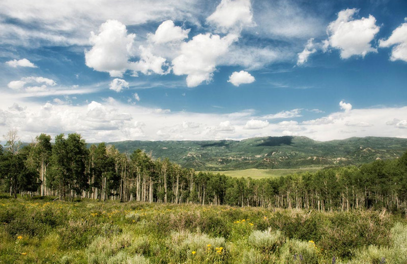 Scenic view at Wild Skies Cabin Rentals.