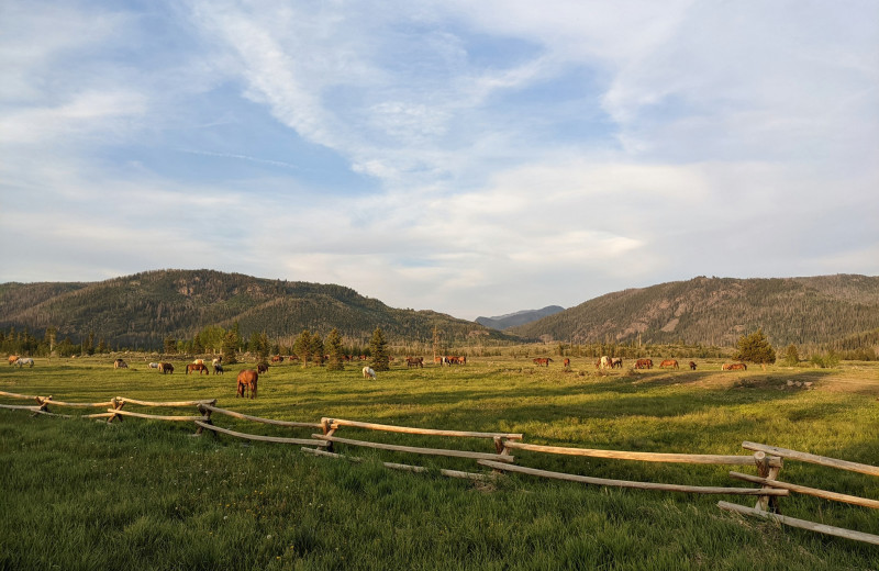 Scenic view at Vista Verde Ranch.