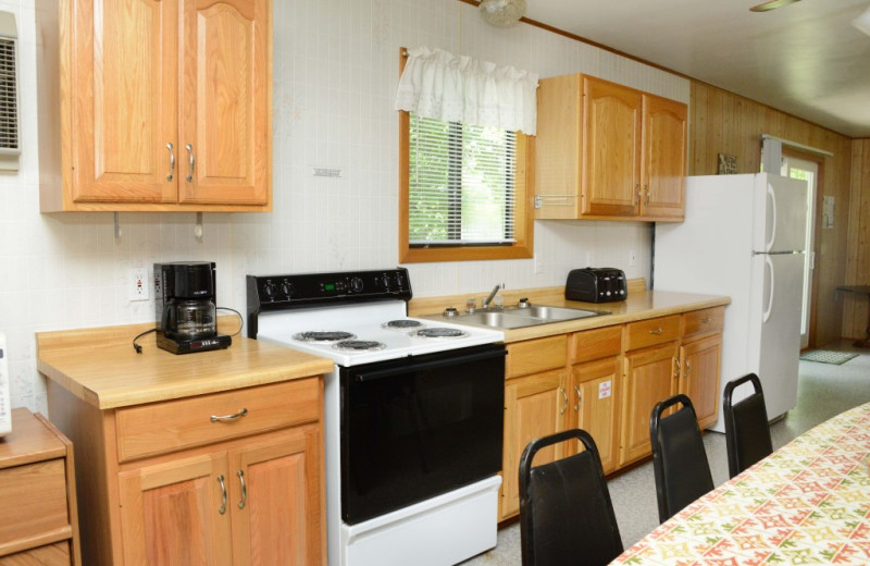 Cabin kitchen at Riverside Resort.