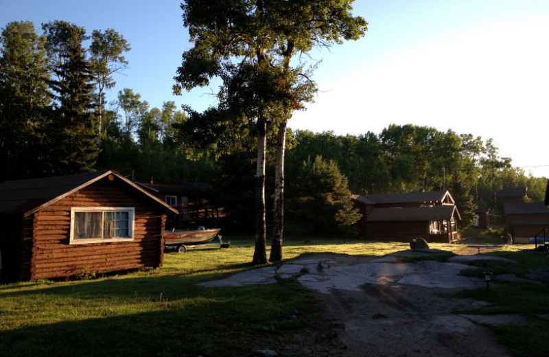 Cabins at Maynard Lake Lodge and Outpost.