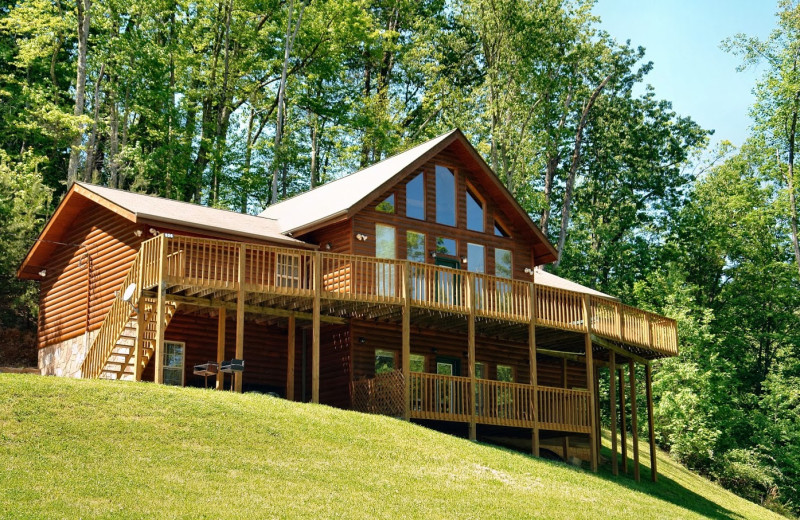 aunt bee cabins aunt bee cabins