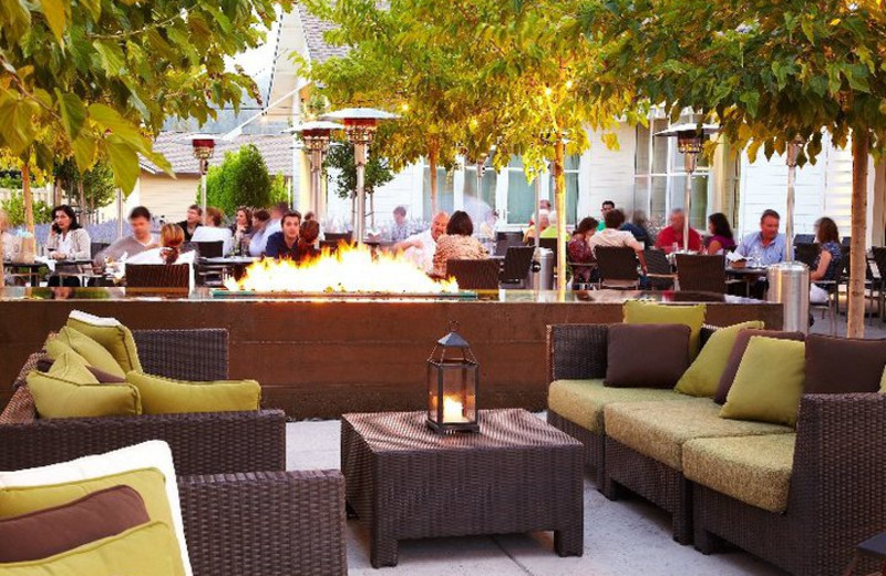 Outdoor lounge area at Solage Calistoga.