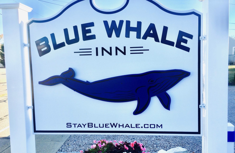 Exterior view of Blue Whale Inn.