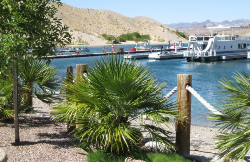 Exterior view of Cottonwood Cove Resort.