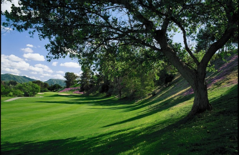 Golf course at Pala Mesa Resort.