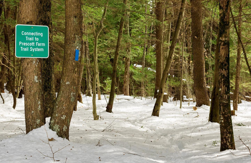 Hiking near Summit Resort.