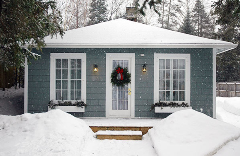 Cabin exterior at GO-Cottage.