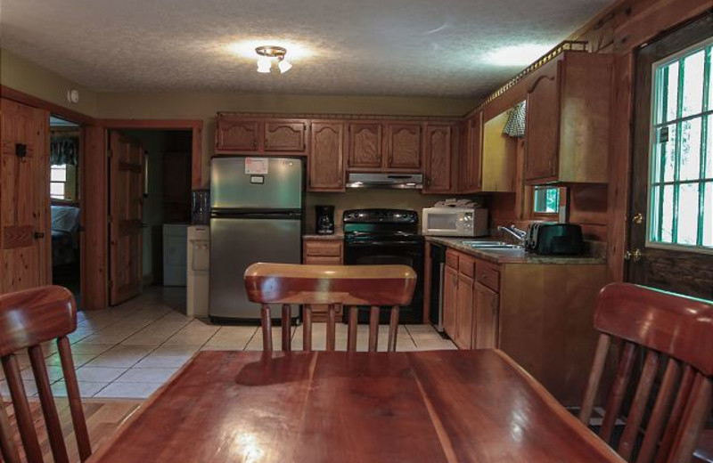 Cabin kitchen at Dogwood.