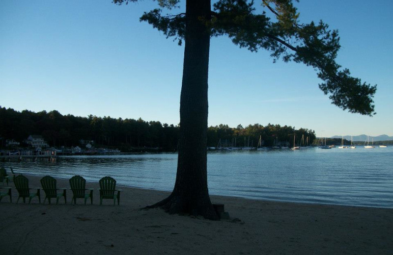 View from the beach at Misty Harbor. 